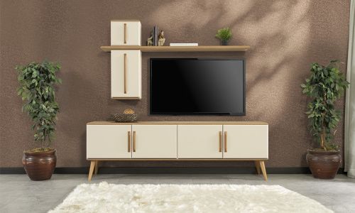 Liza Tv Ünitesi